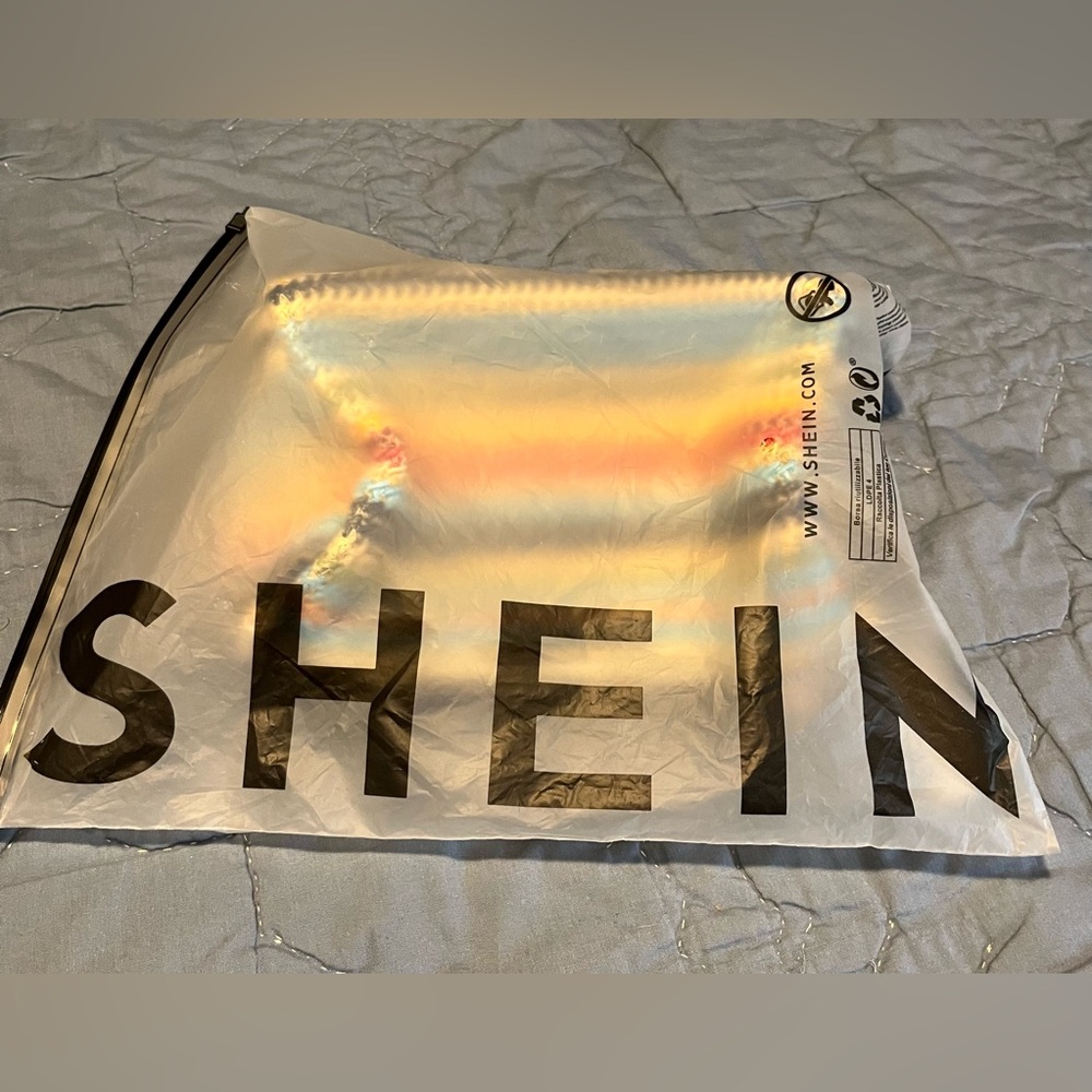 SHEIN straw multi color purse